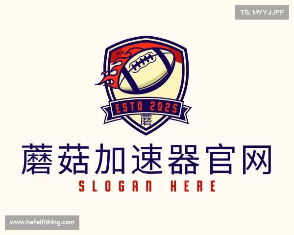 解读蘑菇加速器官网